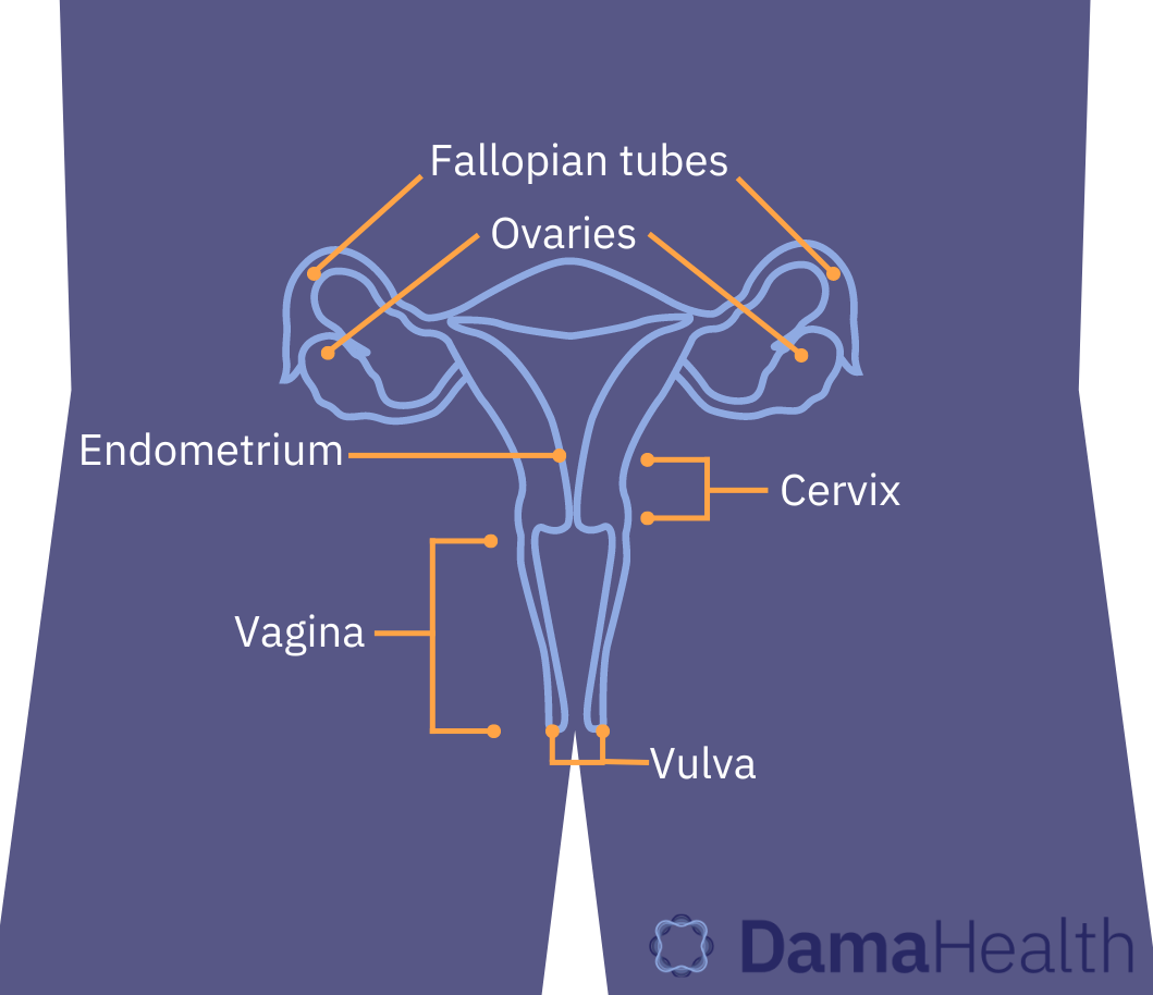 An introduction to cervical cancer